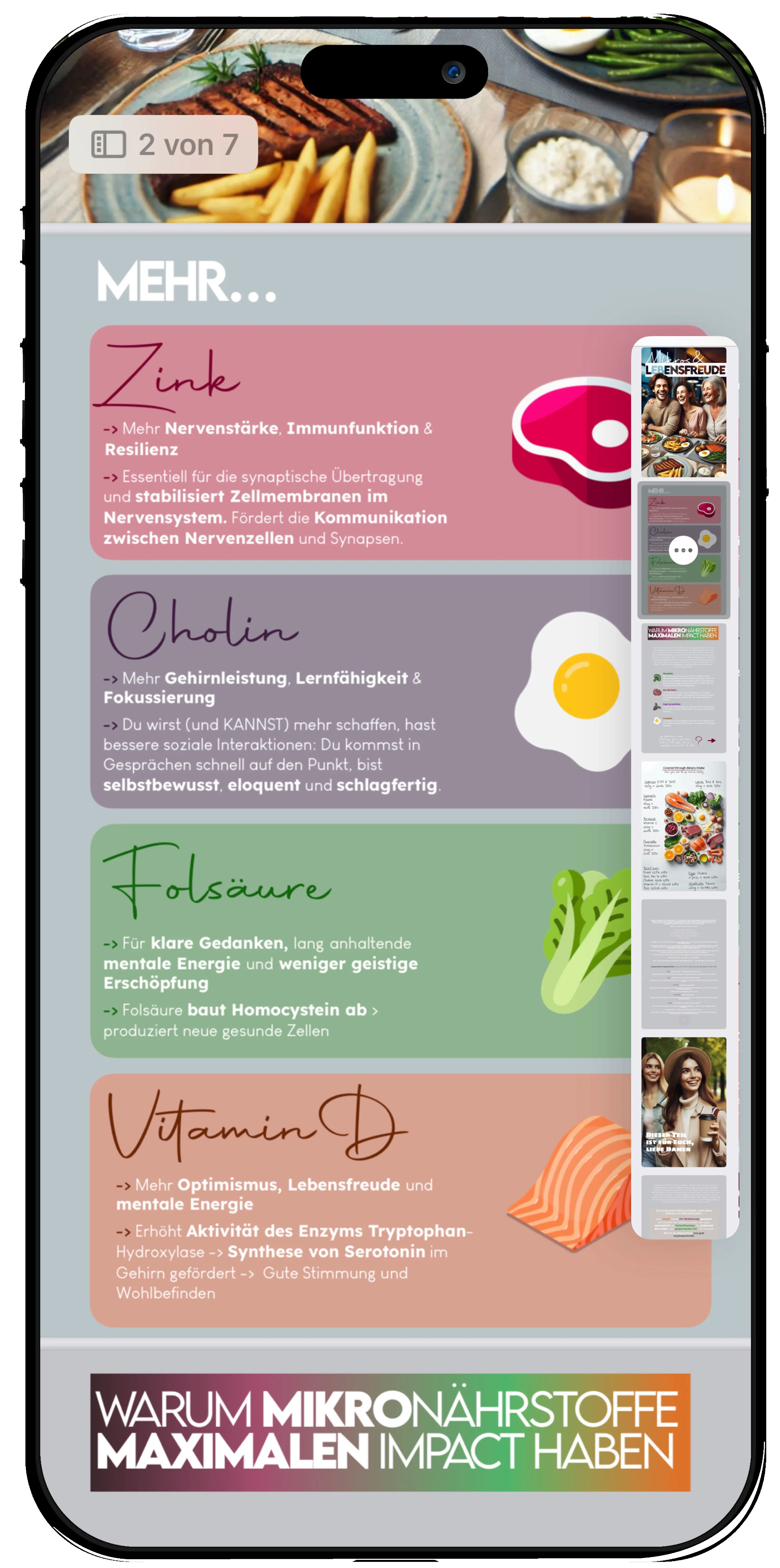 NULNEBLA Mikro Guide – Handy