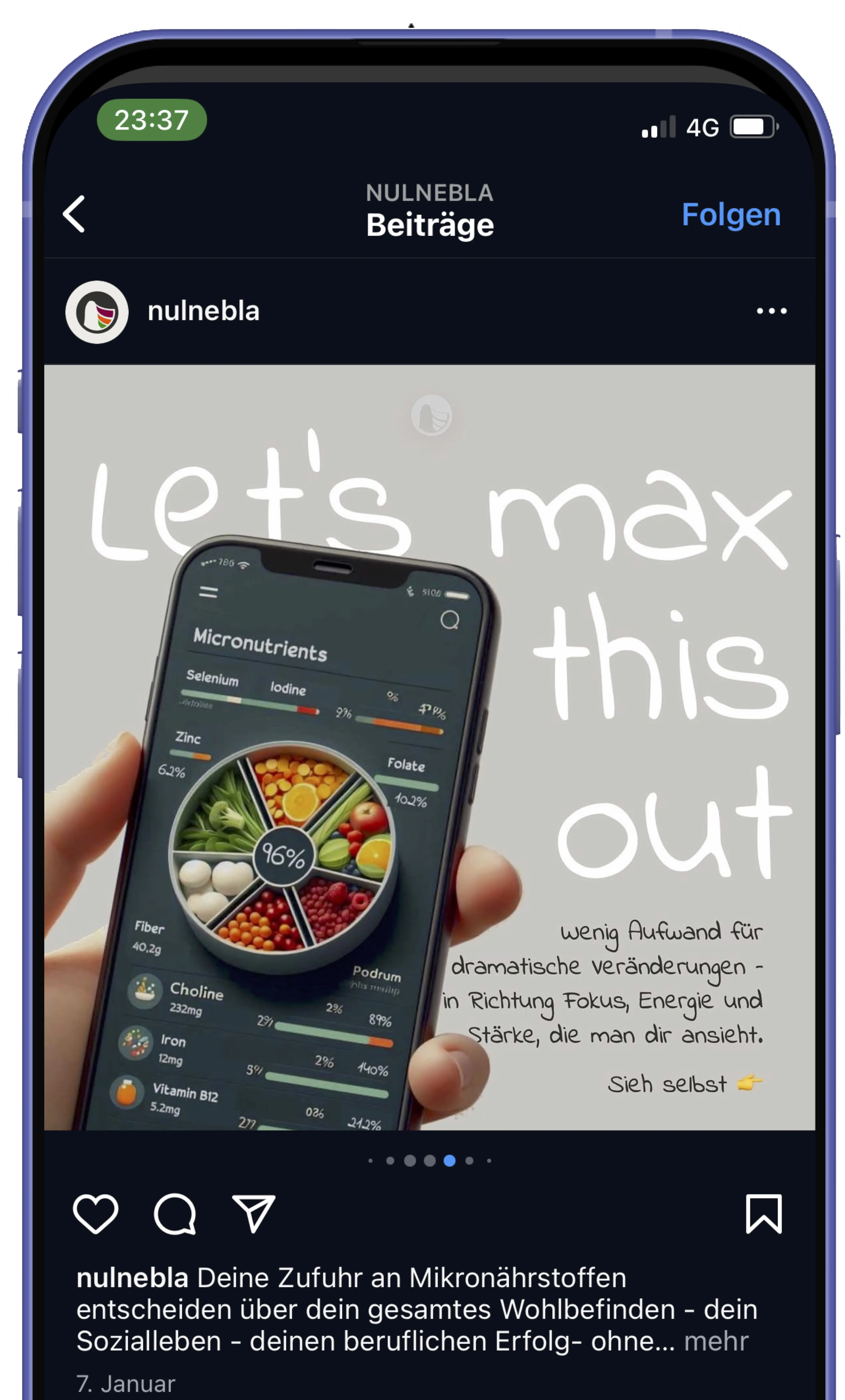 Beschreibung des Bildes