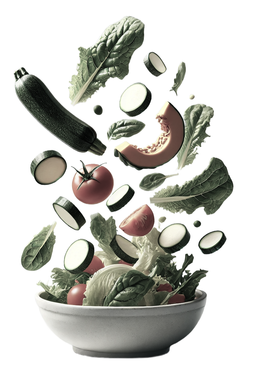 Beschreibung des Bildes