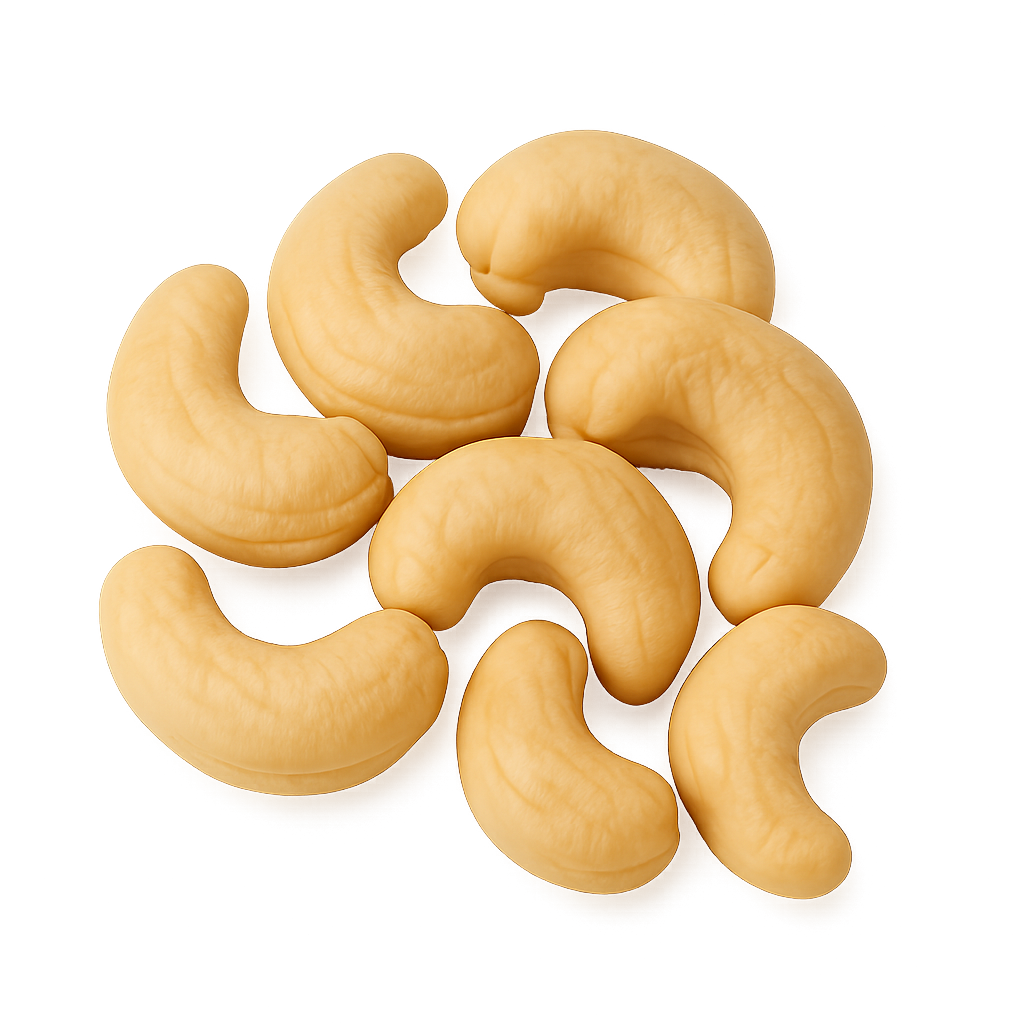 Beschreibung des Bildes