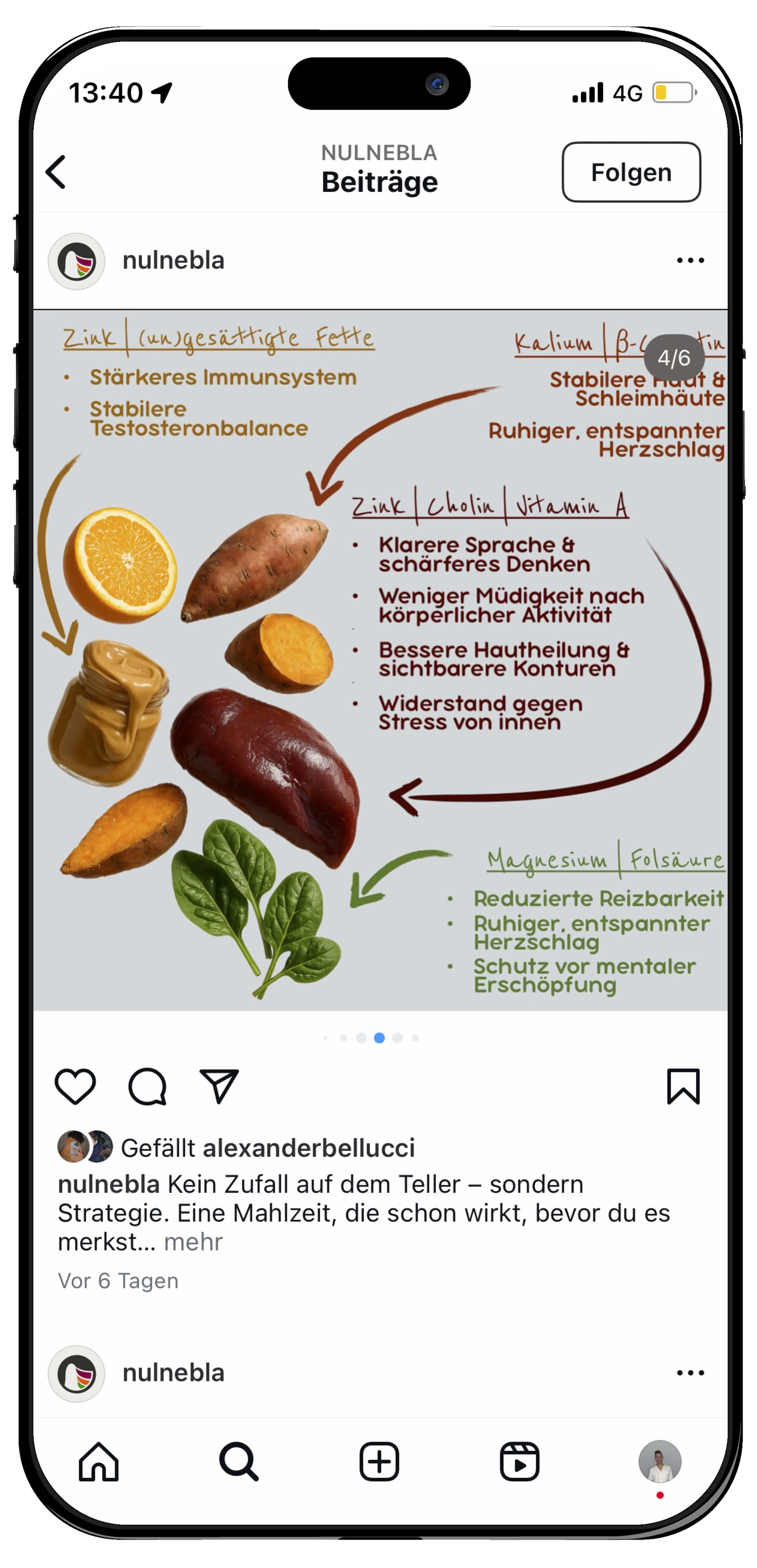 Beschreibung des Bildes